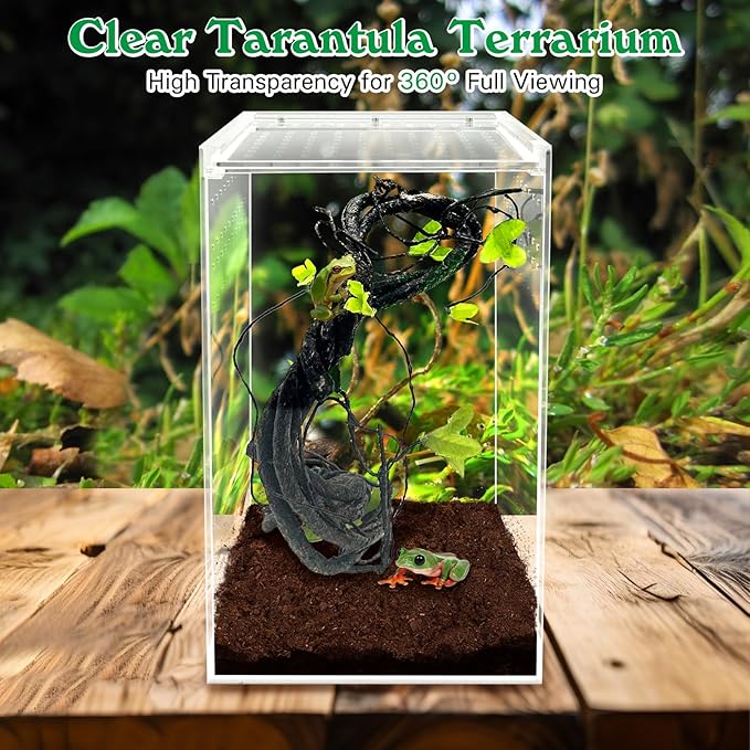Reptile Terrarium Enclosure 6"x6"x10" Tall Acrylic Tarantula Breeding Box Magnetic Hermit Crab Habitat Vertical Tank Transparent Jumping Spider Cage for Insect Mantis Scorpion Sling Isopods