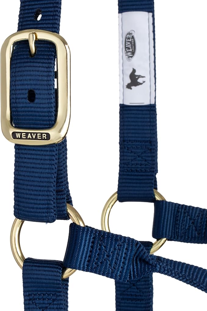 Weaver Equine Nylon Horse Halter, Triple-Ply Cheek Design, Original Non Adjustable Halters for Horses, Equine Tack,Average Size, Black