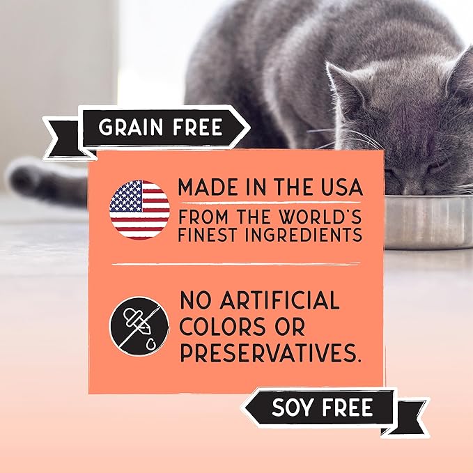 Blackwood Bounty Dry Cat Food, Salmon & Rainbow Trout Recipe for All Life Stages, 10 Pound Bag, High Protein, Grain Free