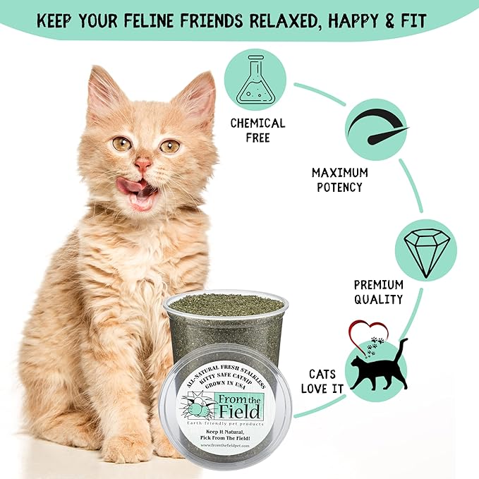 from The Field | Fine Ground Stalkless Catnip | Premium USA-Grown Catnip for Toys & Playtime | Fresh, Potent, Non-Toxic, Eco-Friendly | Safe for Kittens & Cats | Resealable 1 oz Can