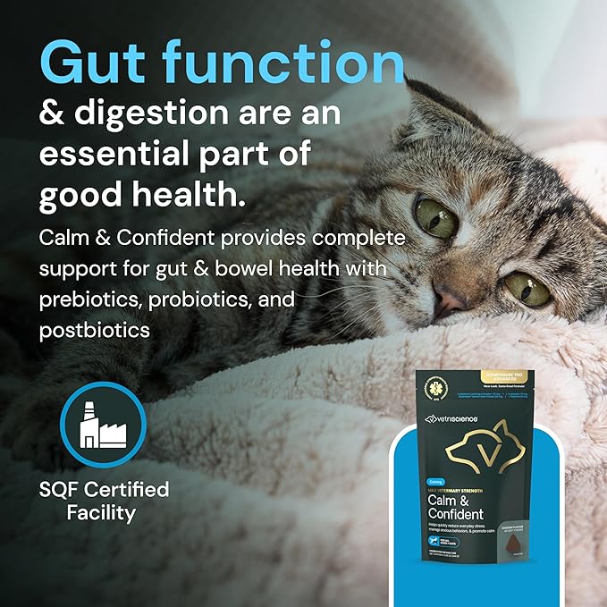 VetriScience Veterinary Strength Calm & Confident Chews - Stress Supplement for Cats - Supports Brain Function for Cats - with L-Theanine, Thiamine & More - 45 Count
