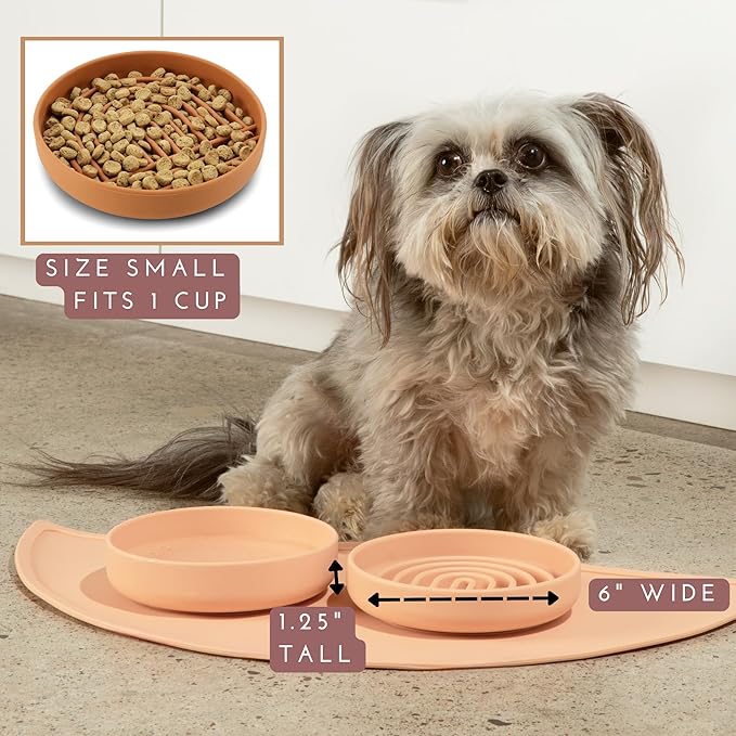 The Slowdown Bowl Silicone Slow Feeder for Cats & Dogs, Slow Eating Mealtime Solution with Modern Lick Mat Design, Reduces Gulping, Fits 1 Cup 6” Across x 1.25” Tall, Small-Honey