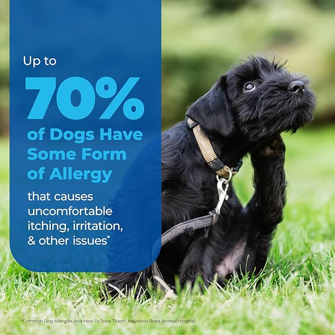 Vetnique Dermabliss Anti Itch Spray for Dogs & Cats with Hydrocortisone for Allergies and Immediate Dog Itching Skin Relief - Fragrance Free with Soothing Oat Extract (8oz)