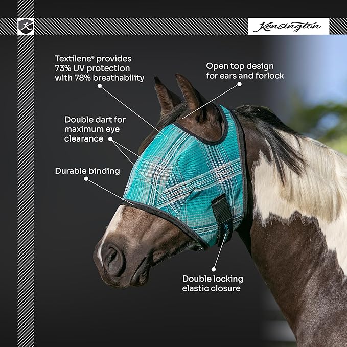 Kensington Fly Mask Web Trim Protects Horses Face and Eyes from Bites and Sun Rays While Allowing Full Visibility Ears and Forelock Able to Come Through The Mask, Small, Imperial Jade