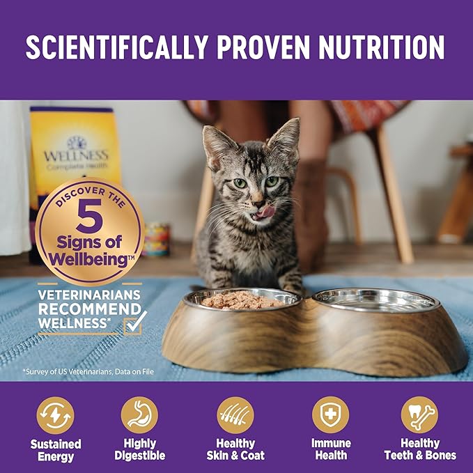 Wellness Complete Health Gravy and Minced Adult Wet Cat Food, Natural, Protein-Rich, Grain-Free, 3 Ounce, 12 Pack, (Chicken & Turkey Lovers Variety Pack)