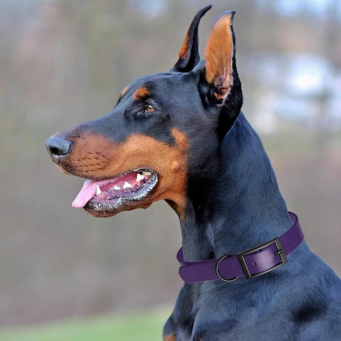 Dogline Biothane Waterproof Dog Collar Strong Coated Nylon Webbing with Black Hardware Odor- Proof for Easy Care Easy to Clean High Performance Fits Small Medium or Large Dogs, Violet Purple