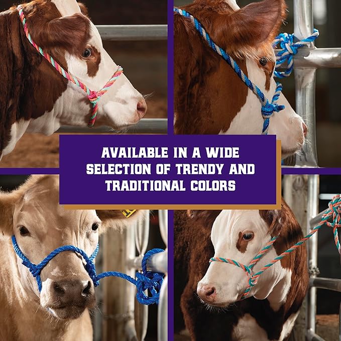 Weaver Livestock Braided Poly Rope Cattle Halter, Adjustable, Modern Style Cow Calf Halter, Livestock Handling Equipment for Showing, Blue/Coral/Gray