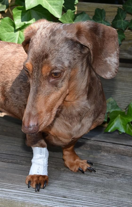 Protective Sleeve Tubular Cover - Bandages - for Dogs Cats and Other Pets First Aid Wound Care Comfortable Non-Adhesive Breathable and Water Resistant 7 Strips (yields 14-21 Covers) (X-Small)