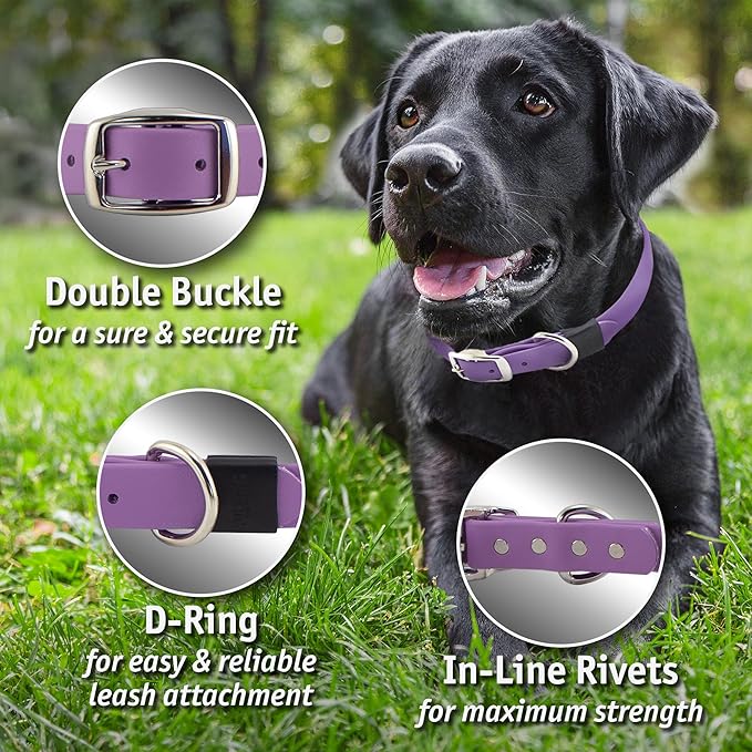 Biothane Custom Dog Collar – Waterproof, Stink-Proof Personalized Collar with Name & Phone Number – Durable, Many Sizes and Colors – Assembled in USA (Lilac Purple)
