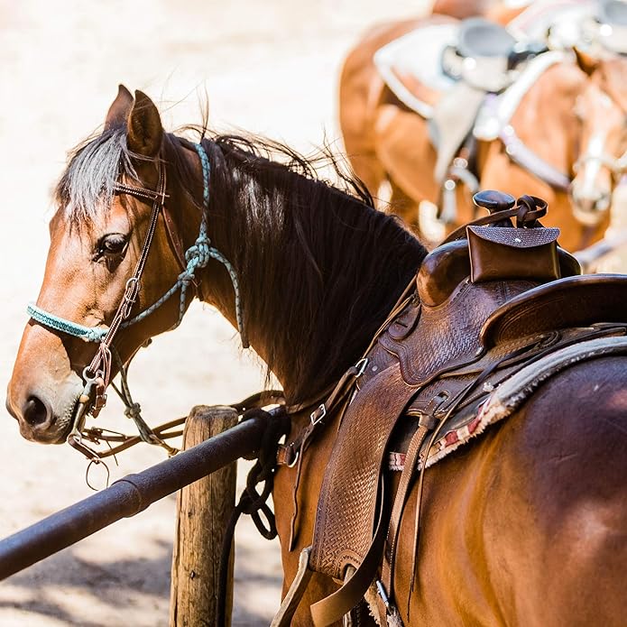 Saddle Pommel Bag - Phone Holder & Equestrian Gift for Women, Horse Tack Essentials