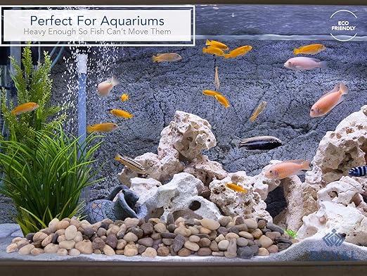 Royal Imports 30LBS River Rocks Decorative Ornamental Pebbles, Garden Landscaping Stones, Gravel Filler for Plants, Vases, Succulents, Home Decor, Aquariums, Crafting, Animal Habitat - Small Natural