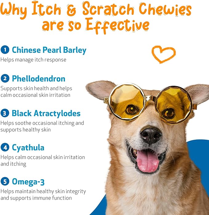 Pet Wellbeing Itch & Scratch Chewies for Dogs - Supports Healthy Itch Response to Occasional Skin Allergies, Skin Health, Chinese Pearl Barley, Phellodendron - Veterinarian-Formulated 90 Soft Chews