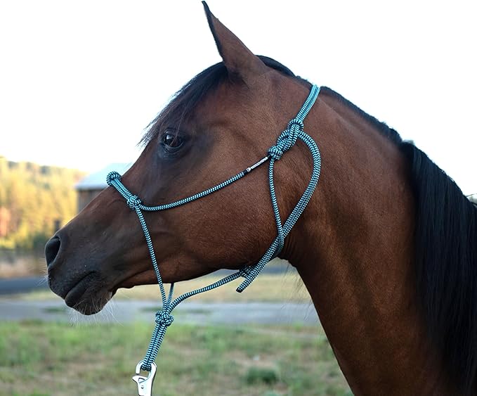 Horse Rope Training Halter - 4 Knot 1/4" Stiff Halter Cord - Used by Famous Trainers Multiple Sizes Multiple Colors