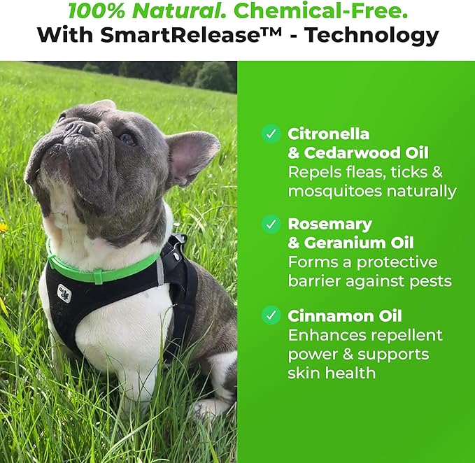 FurLife Flea and Tick Collar for Dogs – Waterproof Black Dog Collar, Pet Supplies for Tick and Flea Prevention for Dogs, Safe for All Breeds