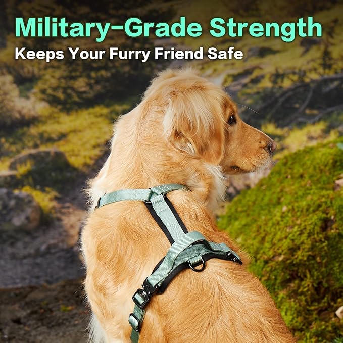 CLEPAWS Dog Harness for X-Large Dogs, No Pull Dog Harness Easy Walk with Metal Hardware, Ergonomic Y-Shaped Design, Soft Padding, Padded Handle, Durable High-Tensile Nylon (Seabreeze, XL)