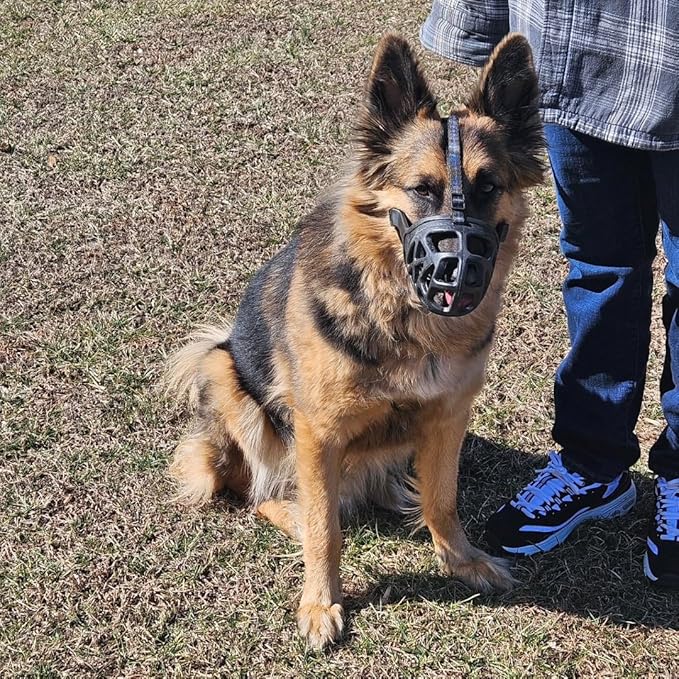 Mayerzon Dog Muzzle, Breathable Basket Muzzles for Small, Medium, Large and X-Large Aggressive Dogs Beagle German Shepherd Doberman, Cage Mouth Guard Stop Biting Chewing for Grooming Training