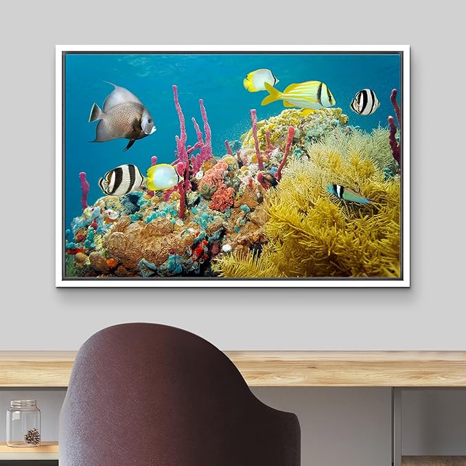 wall26 Framed Canvas Print Wall Art Deep Sea Marine Fish with Coral Reef Nature Ocean Photography Realism Nautical Scenic Relax/Calm Multicolor Ultra for Living Room, Bedroom, Office - 16"x24" White