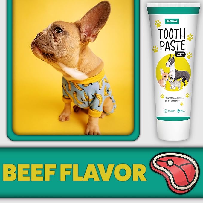 H&H Pets Dog Toothbrushes and Toothpaste Best Professional Cats & Dogs Finger Dental Brush, Dog Brush Set, Perfect for Dogs and Cats, Dog Supplies - Size Small 4 Count 3.5 Oz Toothpaste (100g)