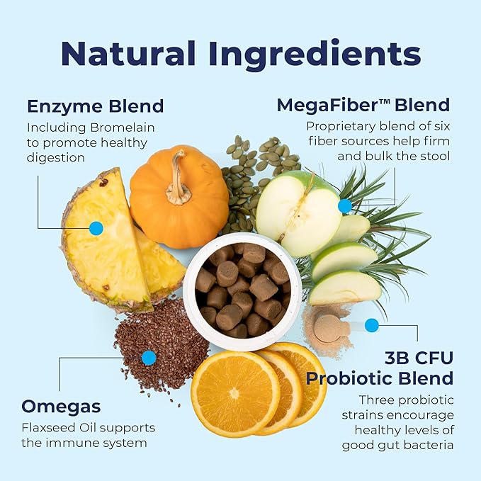 Vetnique Glandex Anal Gland Soft Chew Treats with Pumpkin for Dogs Digestive Enzymes, Probiotics Fiber Supplement for Dogs Boot The Scoot (Advanced Strength Duck/Bacon Chews (Veg), 30 Count)