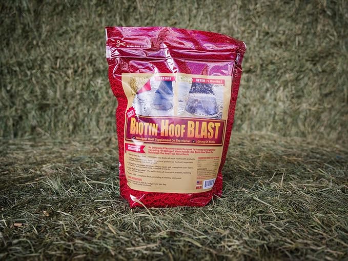 Horse Guard Hoof Supplements for Horses - 80 Servings - Biotin Hoof Blast 10lb Bag with 100mg Biotin per Serving - Concentrated Equine Hoof Health, Strengthener with MSM, Methionine, Zinc