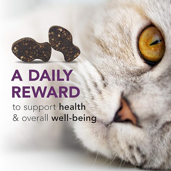 VetriScience Lysine Immunity Health Chews, 250 mg Lysine Plus Immune Supplement for Cats and Kittens with Allergies, Sneezing, Runny Nose and Watery Eyes, Chicken, 3 Pack