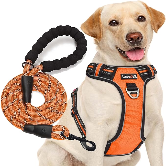 No Pull Dog Harness Adjustable Reflective Oxford Easy Control Medium Large Dog Harness with A Free Heavy Duty 5ft Dog Leash (L (Chest: 25.5"-31"), Orange Harness+Leash)