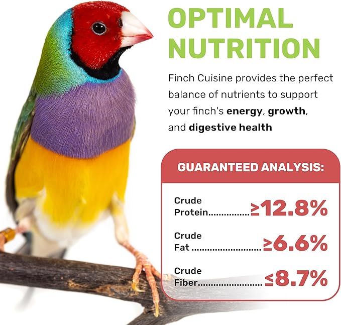 LEACH GRAIN & MILLING CO. Finch Cuisine 4 Lbs, Finch Food, Nutrient-Rich Blend Bird Seed, Birdseed for Finches and Small Birds, Support Daily Energy, Growth & Healthy Balanced Diet, No Mess Bird Seed