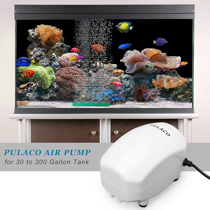 PULACO 210 GPH Ultra Quiet Aquarium Air Pump Dual Outlet, Fish Tank Aerator Pump with Accessories, Under 300 Gallon Fish Tanks