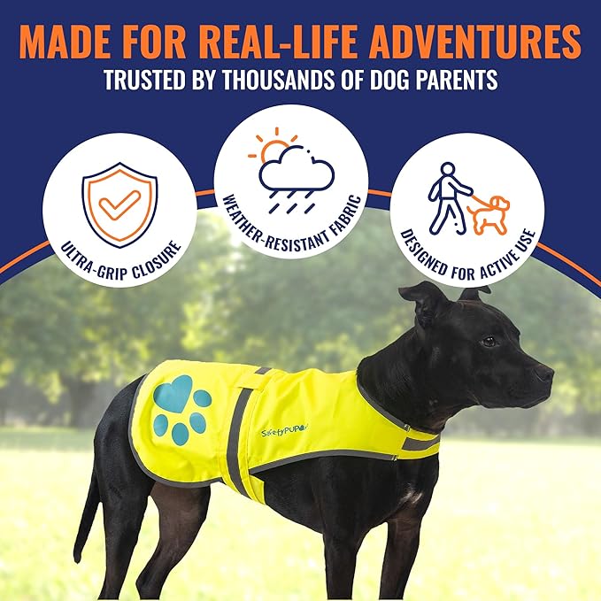 Dog Reflective Vest – Hi-Vis Fluorescent Visibility That Helps to Safeguard Your Pet On/Off Leash in Urban & Rural Areas (Yellow, Medium)
