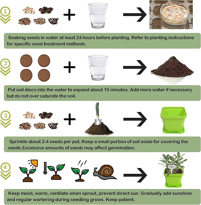 10 Herb Seeds Garden Starter Grow Kit with Green Pots, Markers, Nutritional Soil, Watering, Herb Clipper, Complete Indoor Potted Plant Growing Set for Kitchen DIY