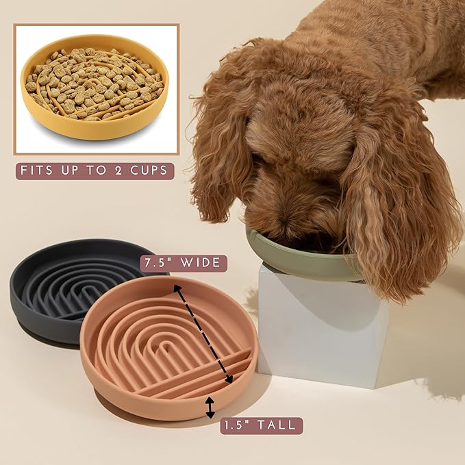 The Slowdown Bowl Silicone Slow Feeder for Dogs & Puppies, Slow Eating, Modern Lick Mat Design, Reduces Gulping, Fits 2 Cups 7.5” Across x 1.5” Tall, Mealtime Challenge, Medium-Spruce