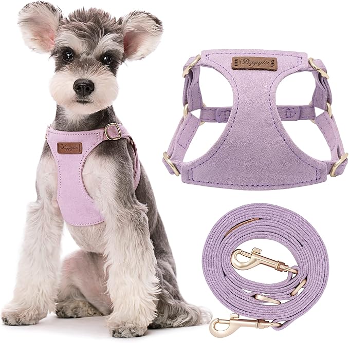 Puppytie No Pull Small Dog Harness with Multifunction Dog Leash,Lightweight Soft Adjustable No Choke Escape Proof Pet Harness Vest Pet Harness Vest,Light Purple,S