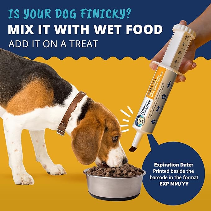 Under the Weather Pet | Ready Cal for Dogs 100cc | High Calorie Supplement | Weight Gainer and High Calorie Booster | 10 Vitamins, 7 Minerals & Omega Fatty Acids