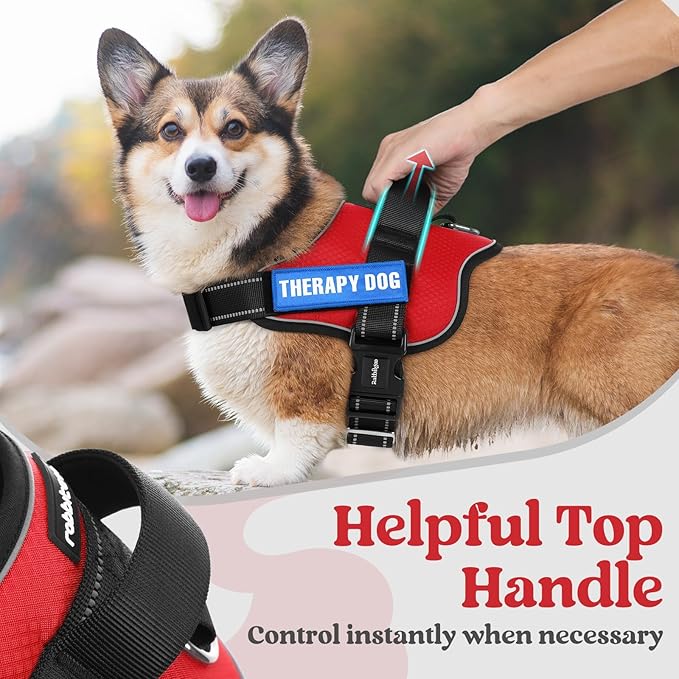 rabbitgoo Dog Harness for Large, Easy On Pet Vest with One Buckle, No Pull Adjustable Service Harness with D-Ring & Handle, Reflective for Safety Walking, Training, Red, L