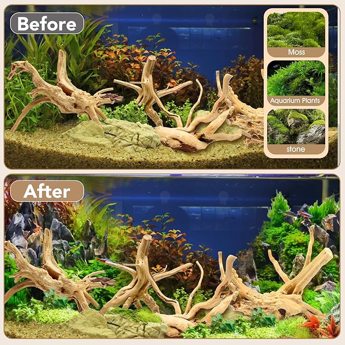 Natural Small Spiderwood Driftwood for Aquarium Decor Rptile Fish Tank Decoration Assort Branch 4-7'' 8 Pcs