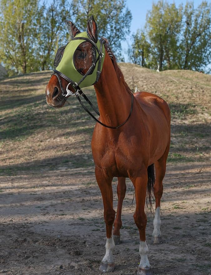 Horse Fly Mask with Ears, UV Protection for Horses, Elasticity with Big Mesh Eye Covers, Snug Fitting Comfortable Breathable Lightweight for Horses Olive Green Full Size
