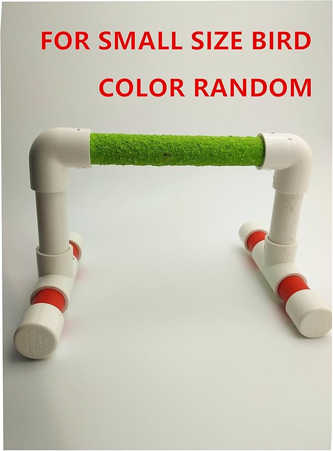 Hypeety Small Bird Parrot Stand Perch Table Top Stand Playground Grind Perch Swing Training Playstand Exercise Chew Toys for Budgies Parakeet Cockatiel Conure Finch (Stainless Steel Tray, L)