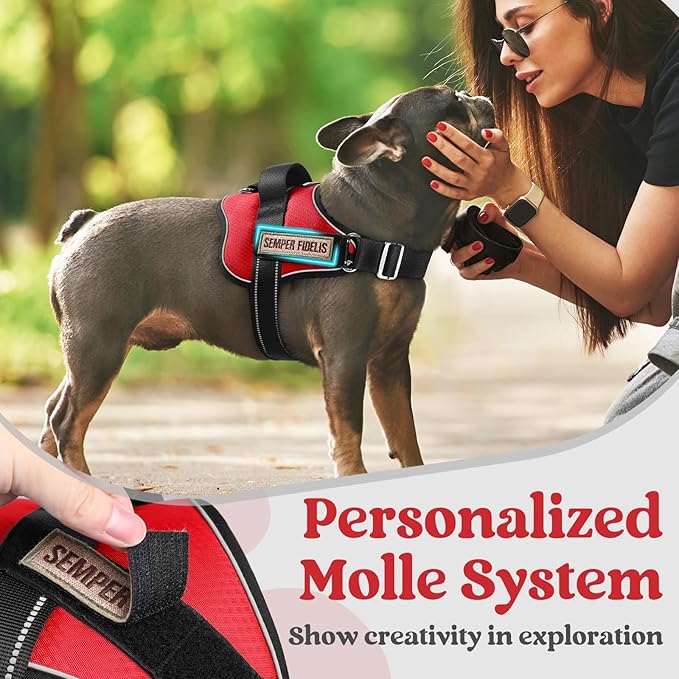 rabbitgoo Dog Harness for Large, Easy On Pet Vest with One Buckle, No Pull Adjustable Service Harness with D-Ring & Handle, Reflective for Safety Walking, Training, Red, L