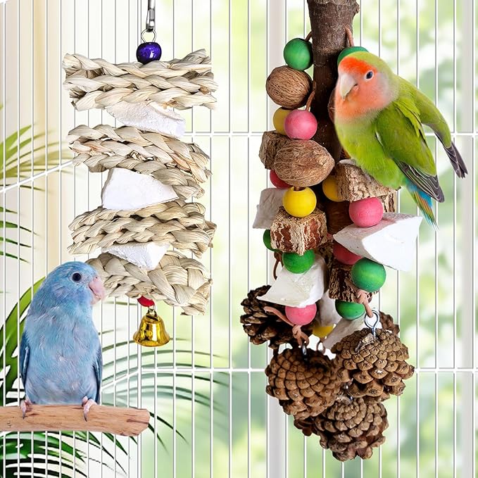kathson Parrot Chew Toys, Medium Size Natural Wooden Bird Toys with Colorful Blocks, Hanging Bird Cage Accessories for Cockatiels, Conure, Cockatoos, 2 Pack (Style B)