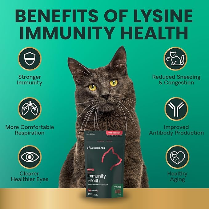 VetriScience Lysine Immunity Health Chews, 250 mg Lysine Plus Immune Supplement for Cats and Kittens with Allergies, Sneezing, Runny Nose and Watery Eyes, Chicken, 90 Count