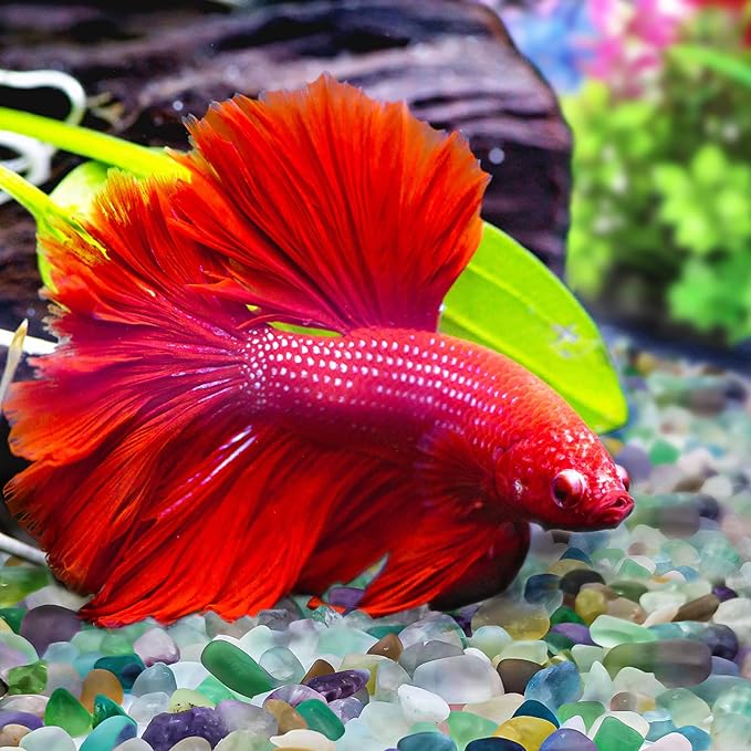 Keedolla 0.93 LB Fluorite Tumbled Chips Aquarium Fish Tank Gravel, Natural Crystal Quartz Stones Rocks Pebbles for Vase Fillers, Garden, Succulent Plants Decor