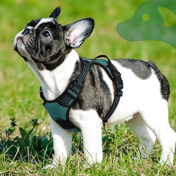 Eagloo Dog Harness Small Sized Dog, No Pull Service Vest with Reflective Strips and Control Handle, Adjustable and Comfortable for Easy Walking, No Choke Pet Harness with 2 Metal Rings, Dark Green, S