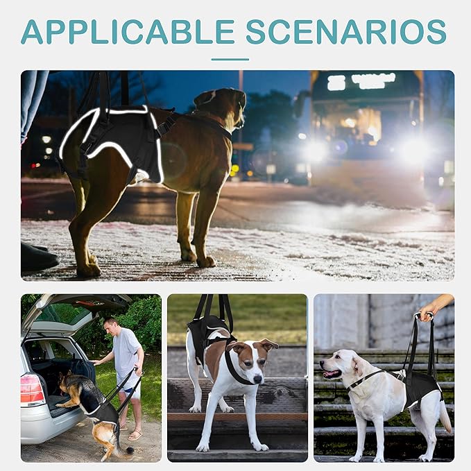 Dog Lift Harness for Small Dogs, Adjustable Rear Leg Support Sling for Hip Dysplasia, Arthritis, Weak Hind Legs, Post-Surgery Recovery, Comfortable & Secure with Sturdy Buckles, S