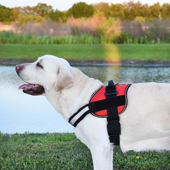 Dogline Dog Harness, Reflective No-Pull Adjustable Vest with Handle, Breathable No-Choke Harness for Small, Medium or Large Dogs Room for Patches Girth 27 to 34 in Red