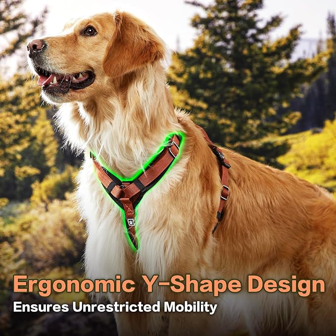 CLEPAWS Dog Harness for Large Dogs, No Pull Dog Harness Easy Walk with Metal Hardware, Ergonomic Y-Shaped Design, Soft Padding, Padded Handle, Durable High-Tensile Nylon (Canyon Red, L)