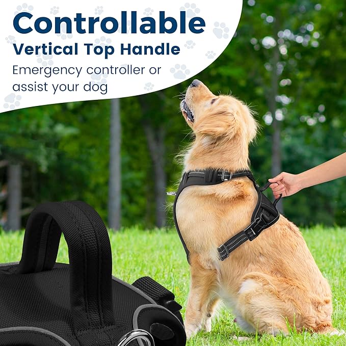 Funfox Dog Harness No Pull, Adjustable Pet Vest Harness, Super Soft Material with Vertical Handle Easy Control, Reflective Night Walking, 2 Leash Clips for Medium Sized Dogs, Black, M