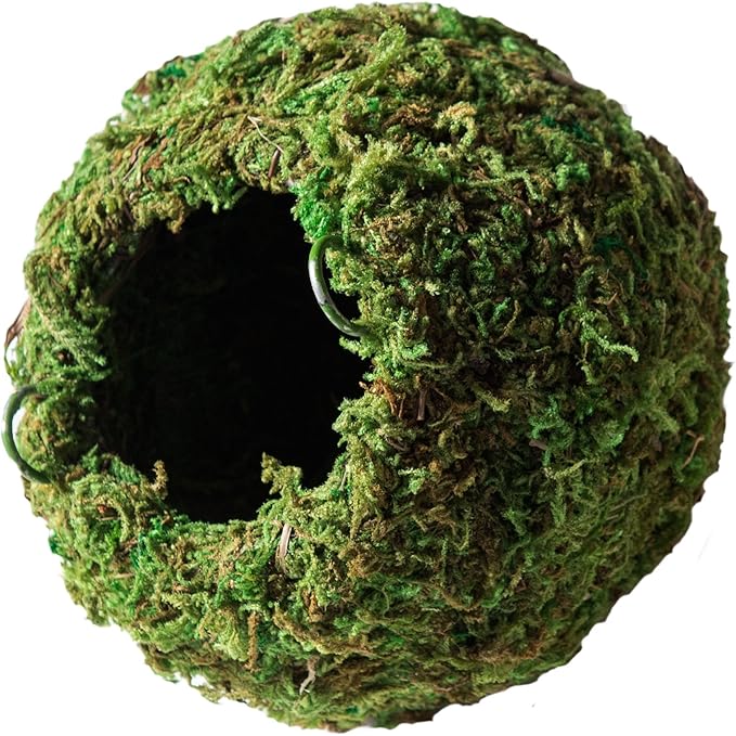 Galápagos (05346) Mossy Cave Hide, 4", Green