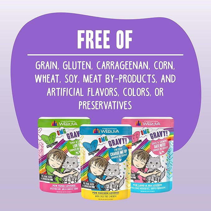 Weruva B.F.OMG - Best Feline Friend Oh My Gravy!, Tuna & Beef Baby Cakes with Tuna & Beef in Gravy Cat Food, 3oz Pouch (Pack of 12), Purple (0152)