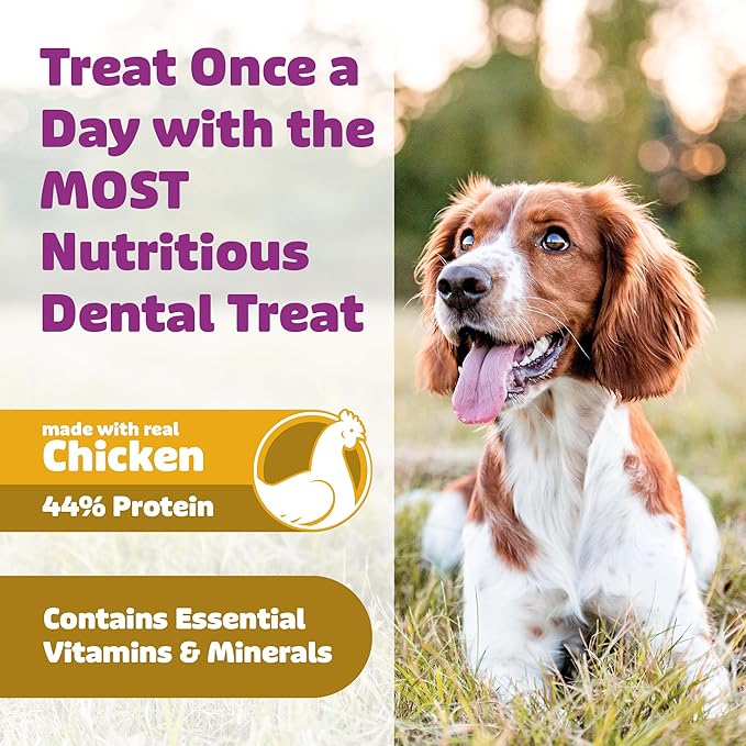 Dog Dental Treats – Vet VOHC Approved – Delicious Chicken Protein – Removes Tartar with Cleaning Comb Shape – Dental Dog Treats for Extra Small Dogs (24oz, 96 Count)
