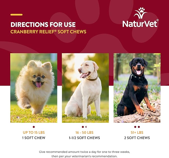 NaturVet – Cranberry Relief Plus Echinacea – Helps Support a Healthy Urinary Tract & Immune System – 60 Soft Chews